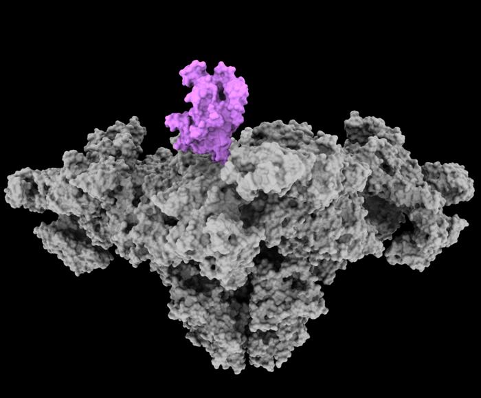 Preventing Chemobrain