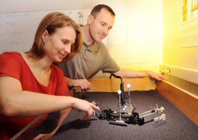 Daniel Goldman and Nicole Mazouchova, Georgia Institute of Technology (1 of 2)