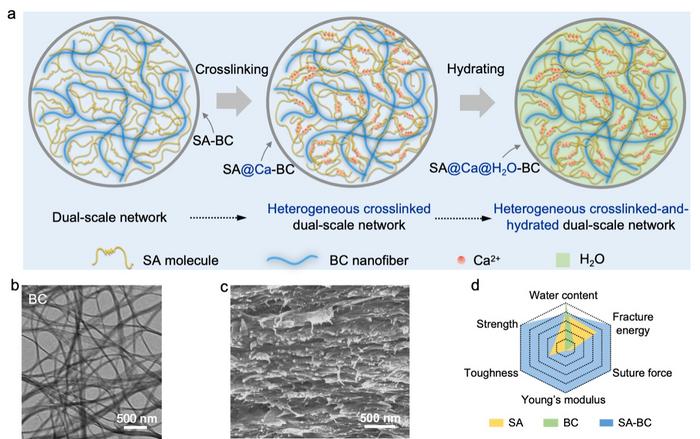 Design, fabrication, structure, and properties of the polysaccharide-based nanocomposite membranes with heterogeneous crosslink-and-hydration (HCH) of molecular/nanoscale dual-network.