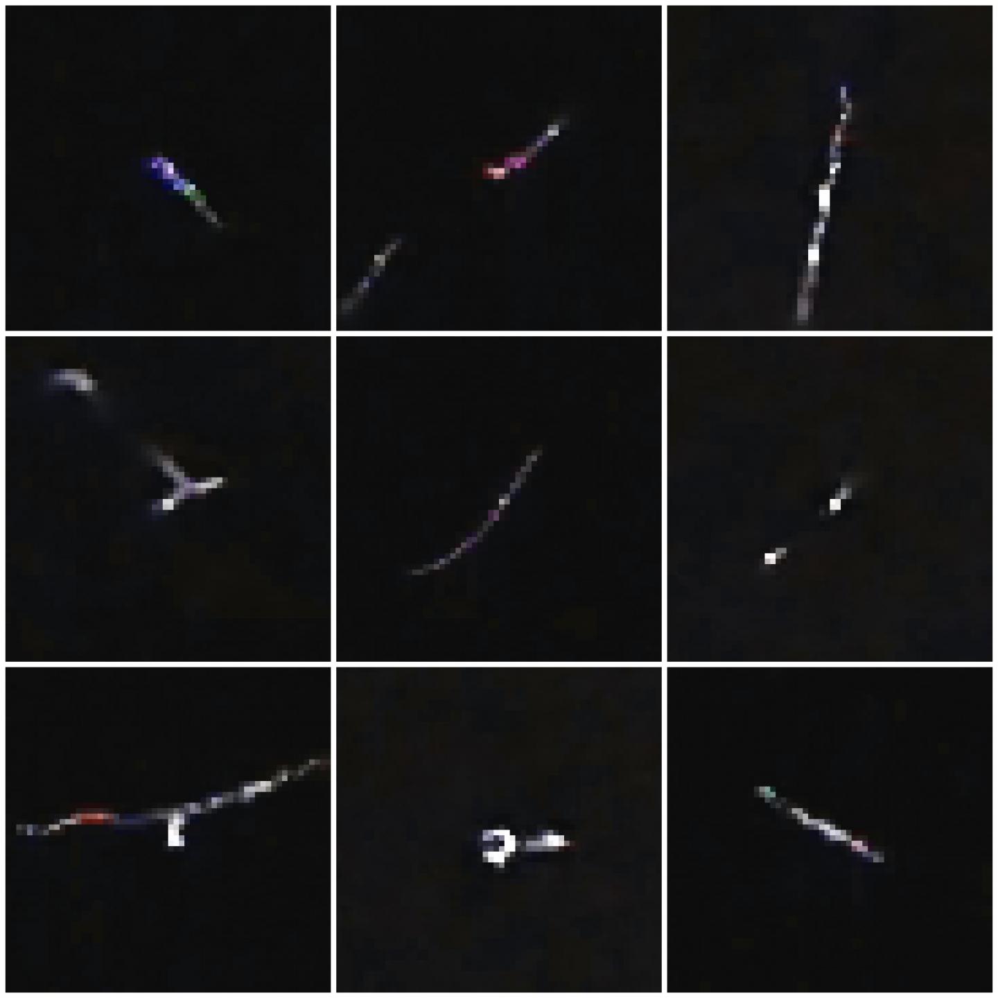 CREDO: Tracks of Particles