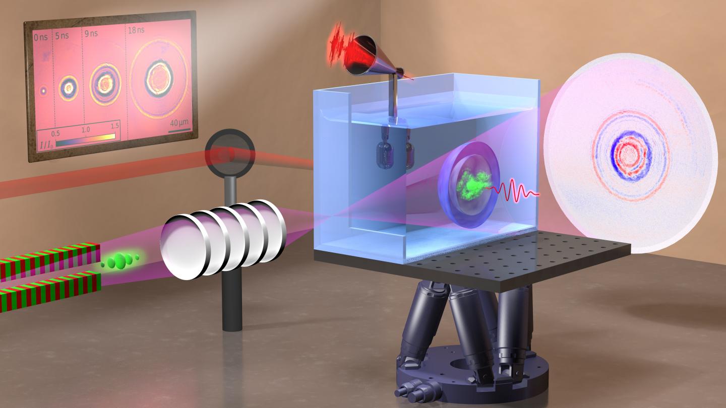 Experimental set-up