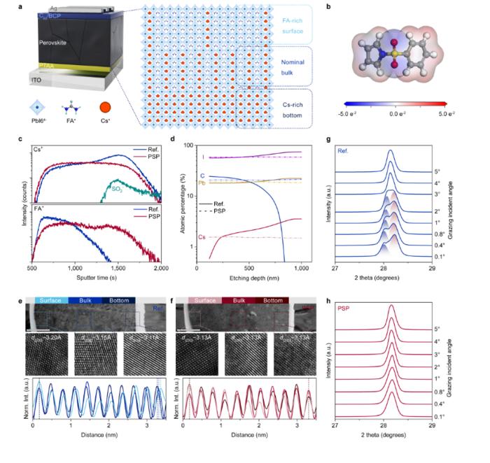 Presence of spatially vertical FA-Cs phase segregation