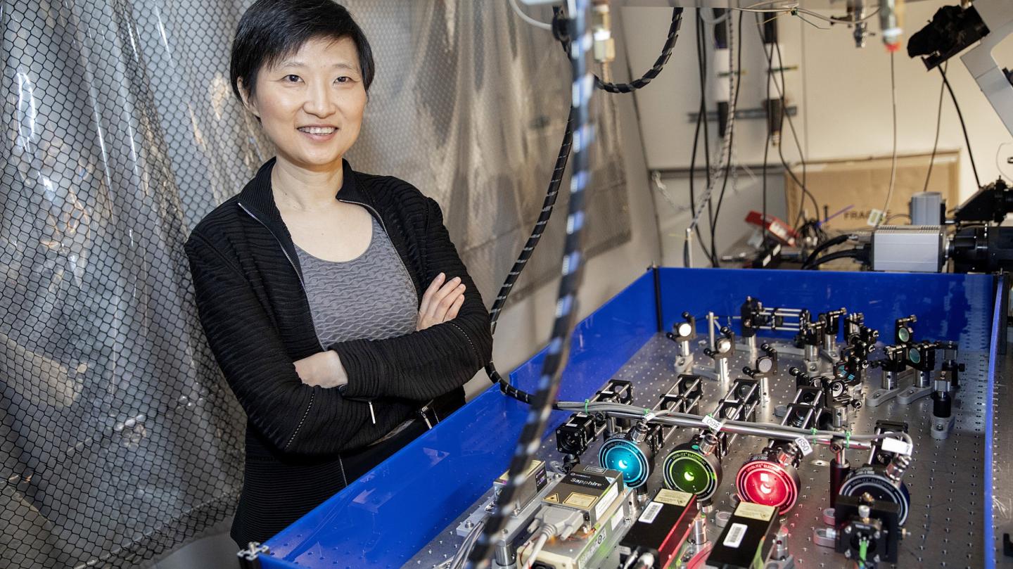 Xiaowei Zhuang, the David B. Arnold Professor of Science at Harvard University and a Howard Hughes Medical Institute Investigator