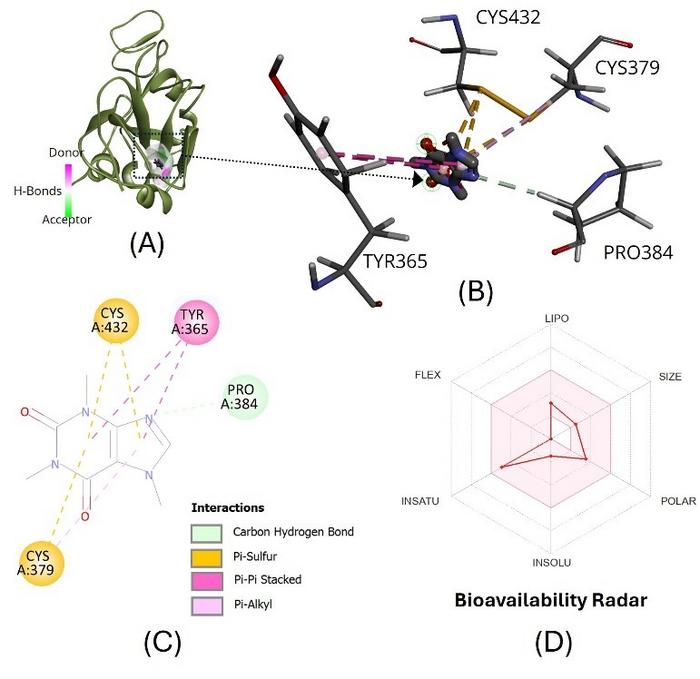 Analyzing the binding affinity of natural compounds to SARS-CoV-2 spike proteins