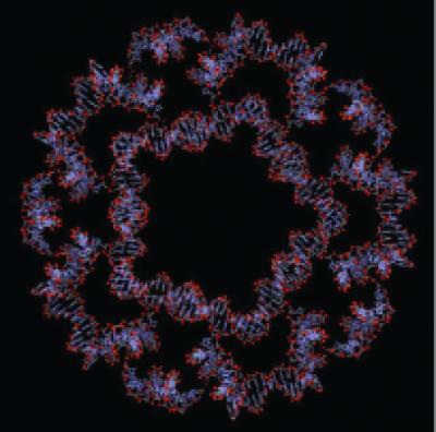 Nanododecahedron