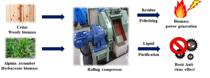 Novel mechanical compression method by Okayama University researchers dehydrates plant biomass for power generation without thermal drying