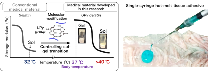 Concept of the study