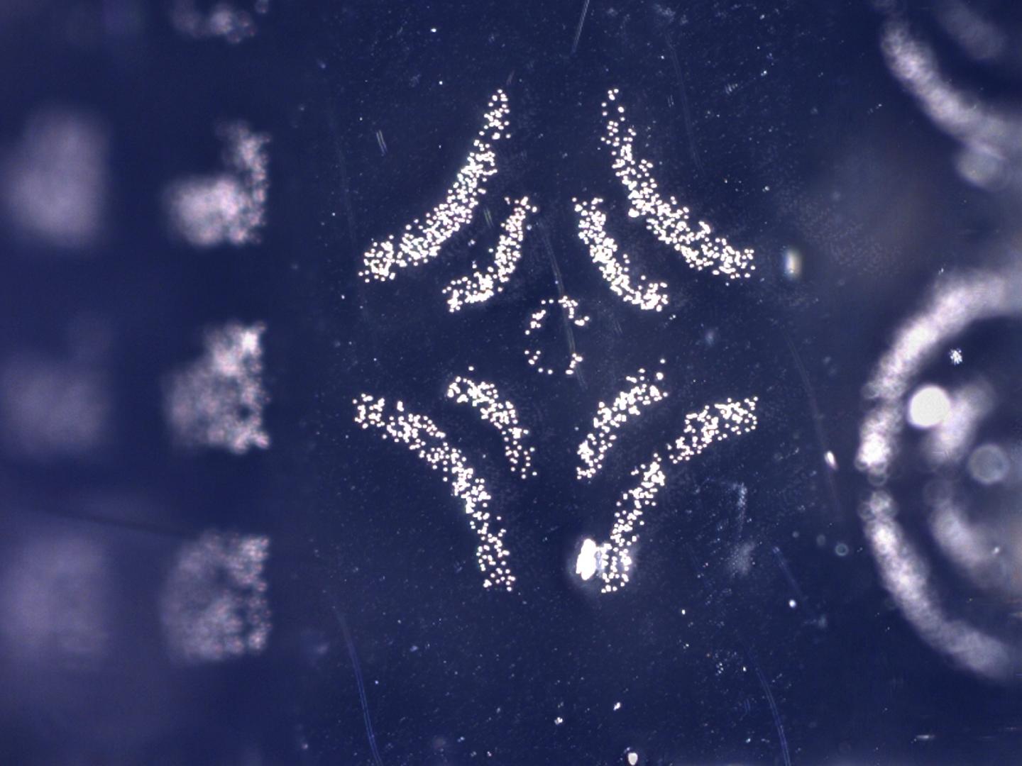 Electroadhesive Stamp