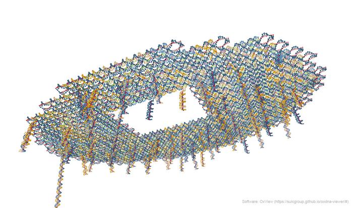 DNA Origami Suggests Route to Reusable, Multifunctional Biosensors