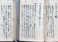 The Diary of the Higashi-Hakura Family