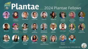 The 2024 ASPB Plantae Fellows