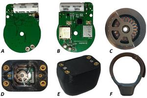 The components in the GPS wildlife tracker