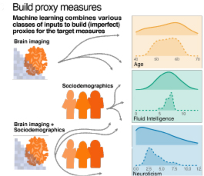 Build Proxy Measures