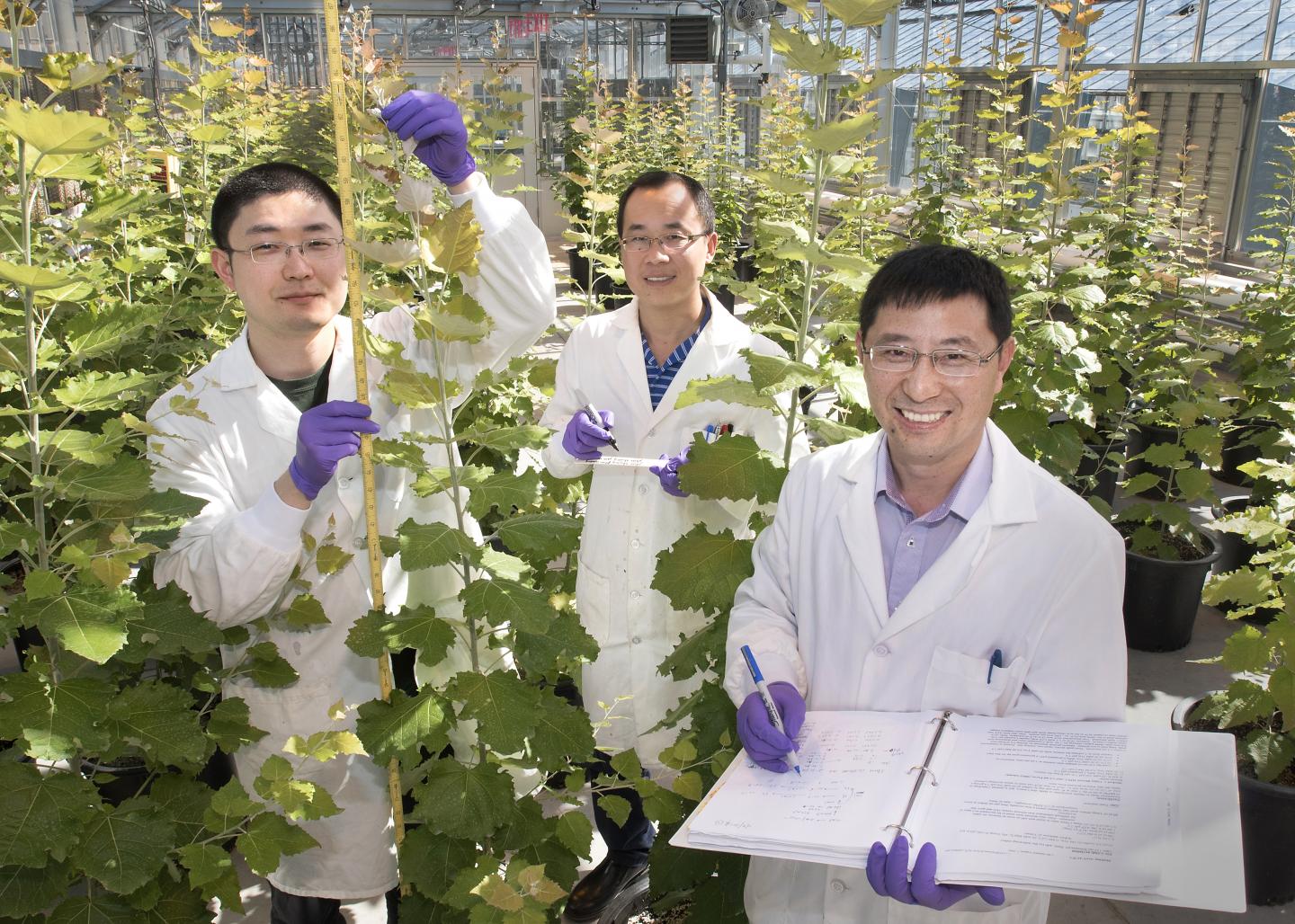Plant Scientists, Brookhaven National Laboratory