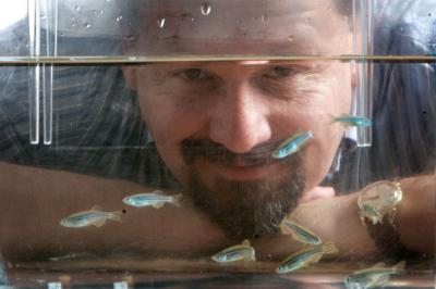 Gregg Roman Studies Memory Formation with Zebrafish
