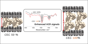 VCD for molecular interaction