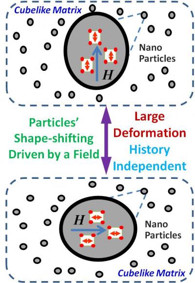 Embedded Nanoparticles in Alloys
