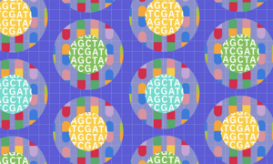 Combi-seq