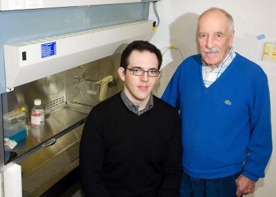U-M Researchers Find Tendons in Mice Become Brittle if Muscle Hormone is Lacking