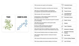 Therapeutic Opportunities for TNIK & ISM18-055