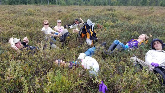 Peat-bog fungi produce substances that kill tuberculosis-causing bacteria