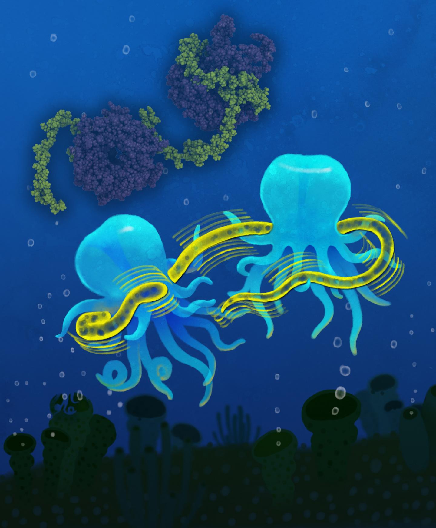 Channels for the Supply of Energy