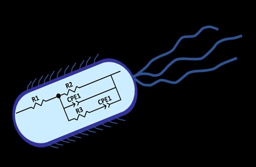Treating Microbes as Electrochemical Entities