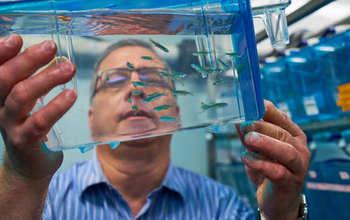 NSF Issues Awards to Advance a National Research Infrastructure for Neuroscience