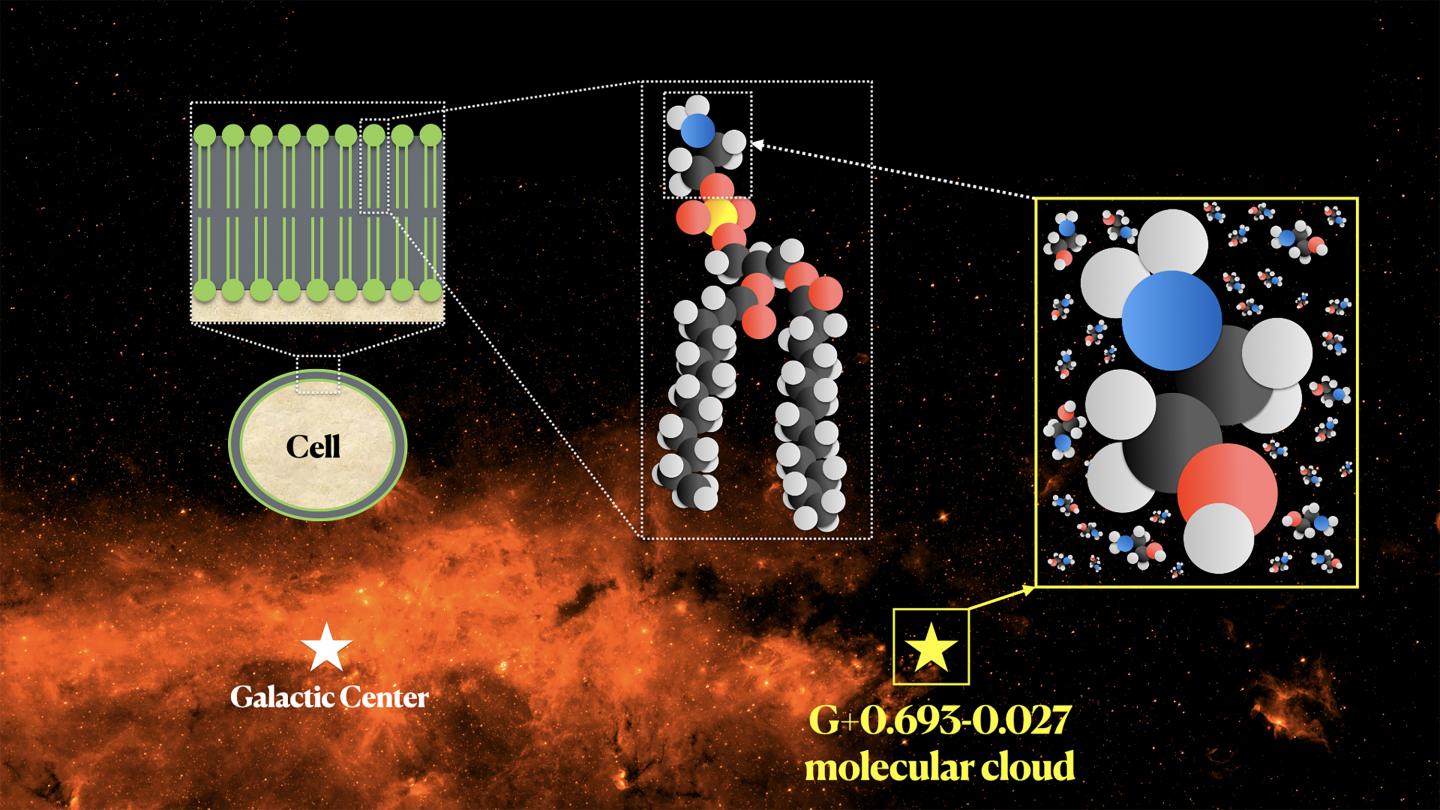 Discovery of ethanolamine