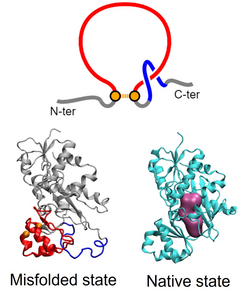 non-covalent lasso entanglement