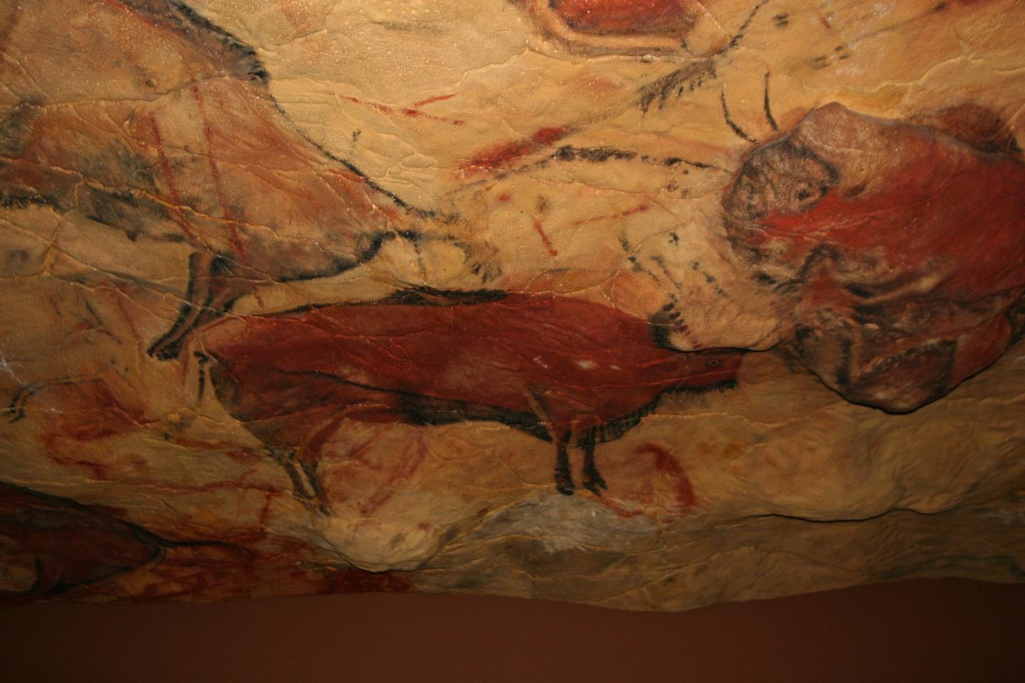 Altamira paintings