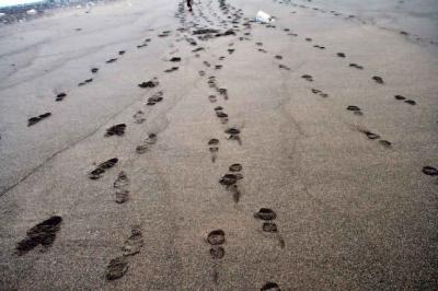 A Formula that Can Calculate a Person's Speed by Just Looking at Their Footprints