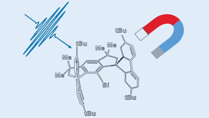 Graphical abstract