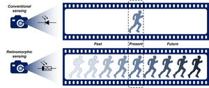 Conventional and retinomorphic sensor