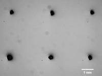 Large-Scale Hydrogel Dots Array