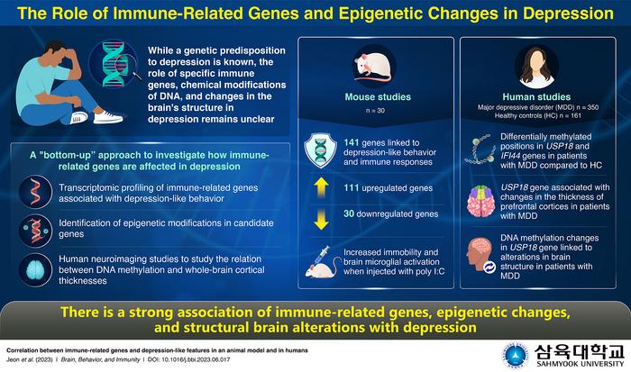 The role of immune-related genes and epigenetic changes in depression