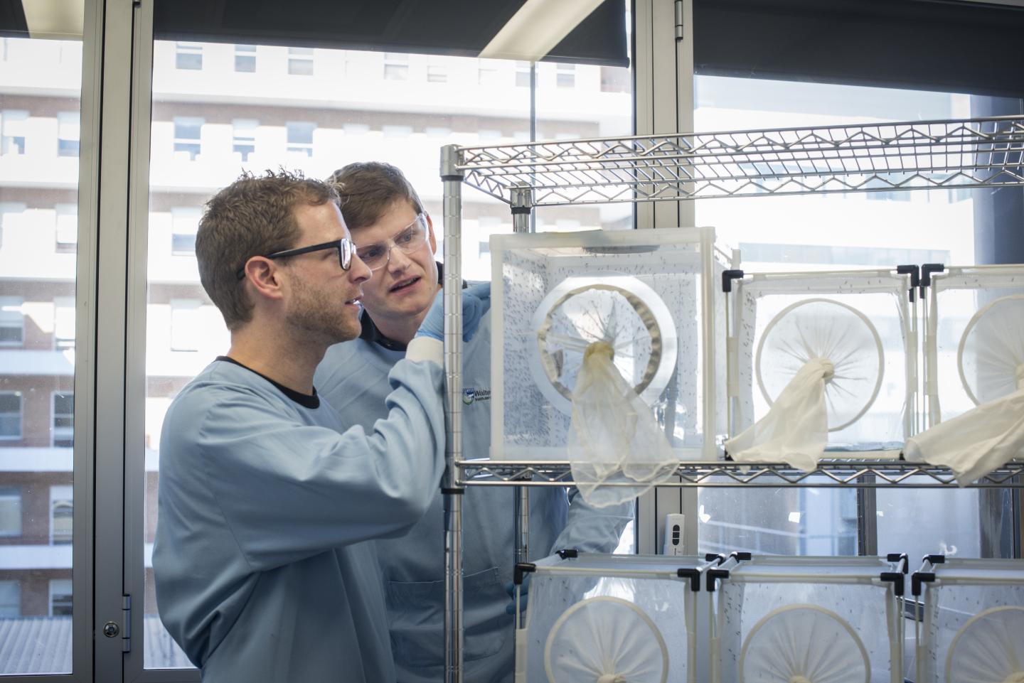 Dr. Justin Boddey and Dr. Ethan Goddard-Borger, Walter and Eliza Hall Institute