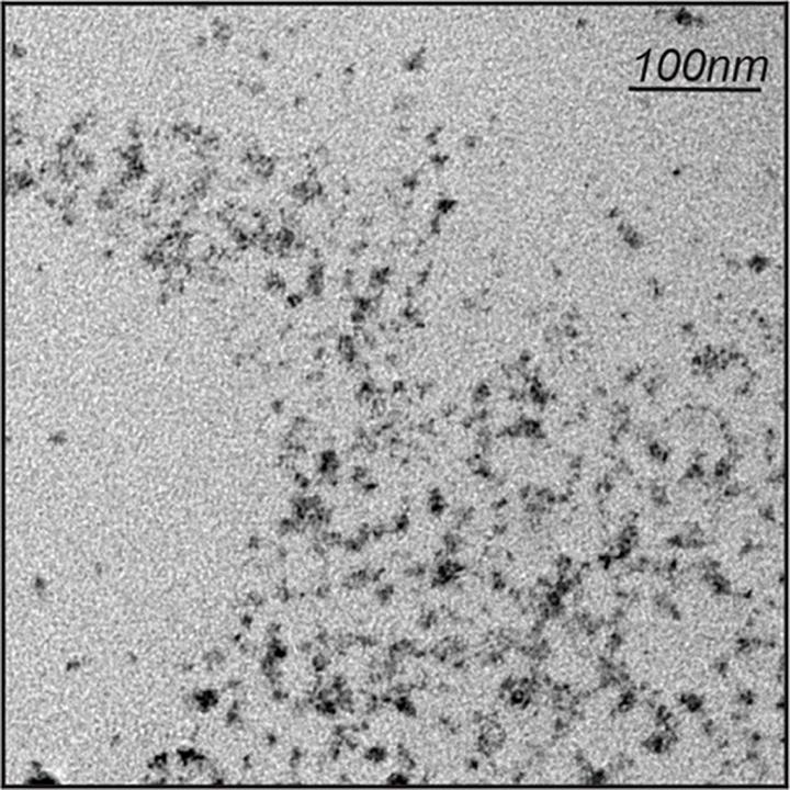 Transmission Emission Microscope image of ZnS/hyperbranched polymer particles.