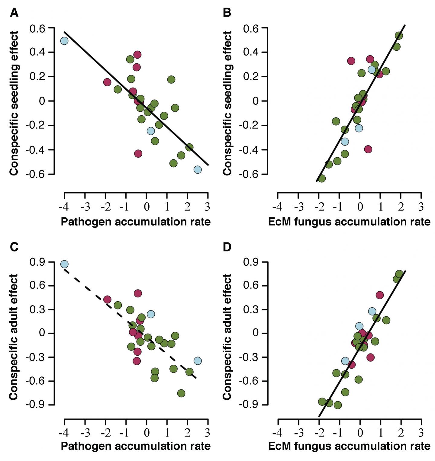 Pathogenic and EcM Fungi 