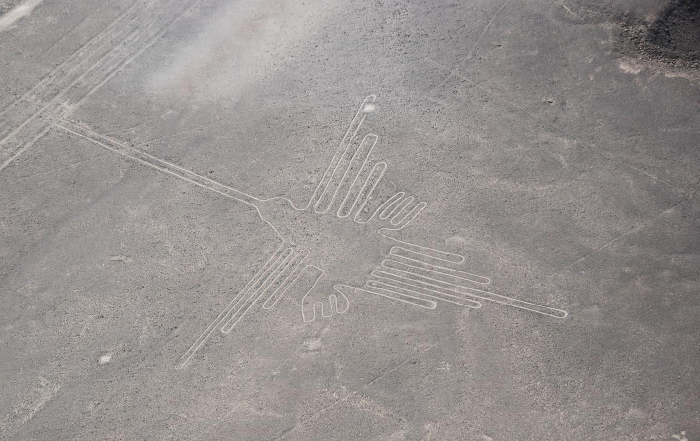 Nasca Drawing