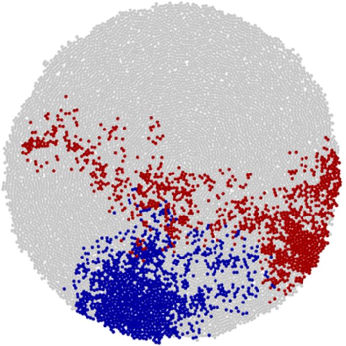 Computer simulation of cancer growth