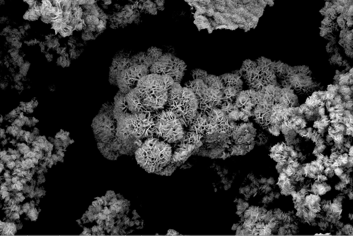 Molybdenum disulphide