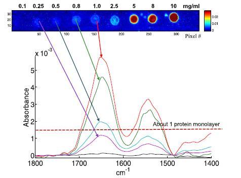 FTIR and Microarrays: Enabling More Information from Less Sample