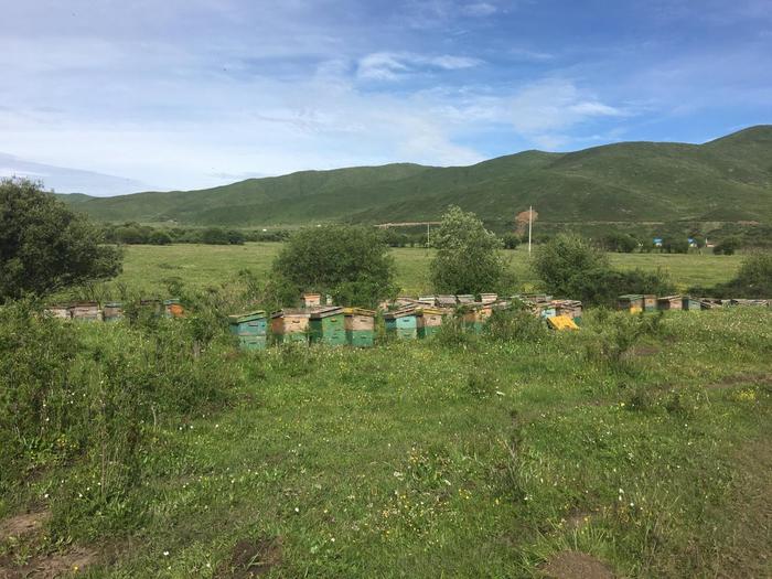 apiary in Sichuan