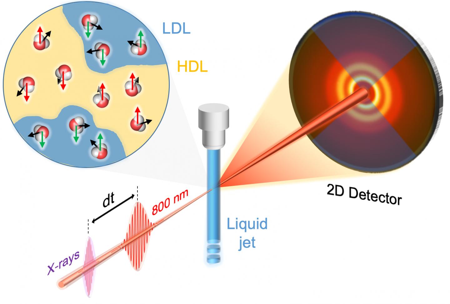 Schematic of the Experiment Used to Capture the Alignment of Water Molecules by the Laser Light