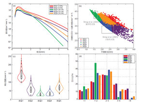 Comparison of the clustered DSD groups