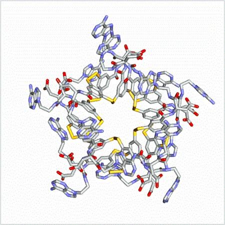 Structure of the Folded Molecule