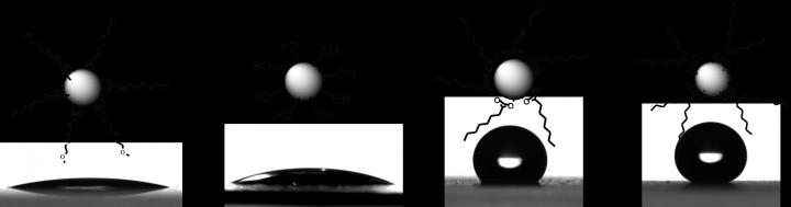 New Waterproofing and Antifouling Materials Developed by Swansea University Scientists