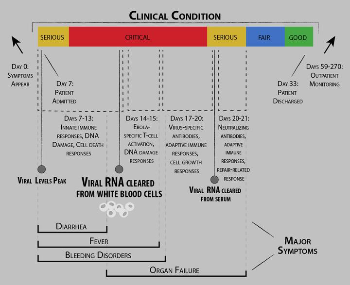 Tackling Ebola, From Supportive Care to Vaccines in Clinical Development