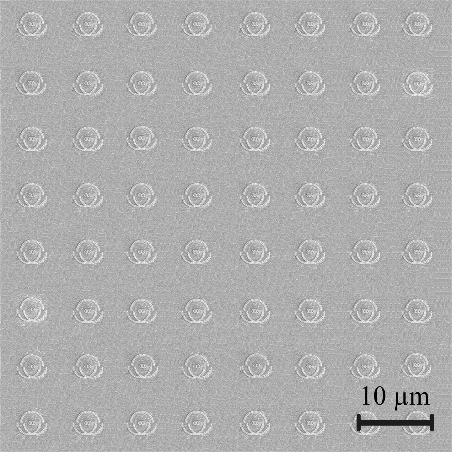 Nanophotonic Chip (Magnified)